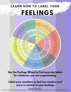 Feelings Wheel PDF
