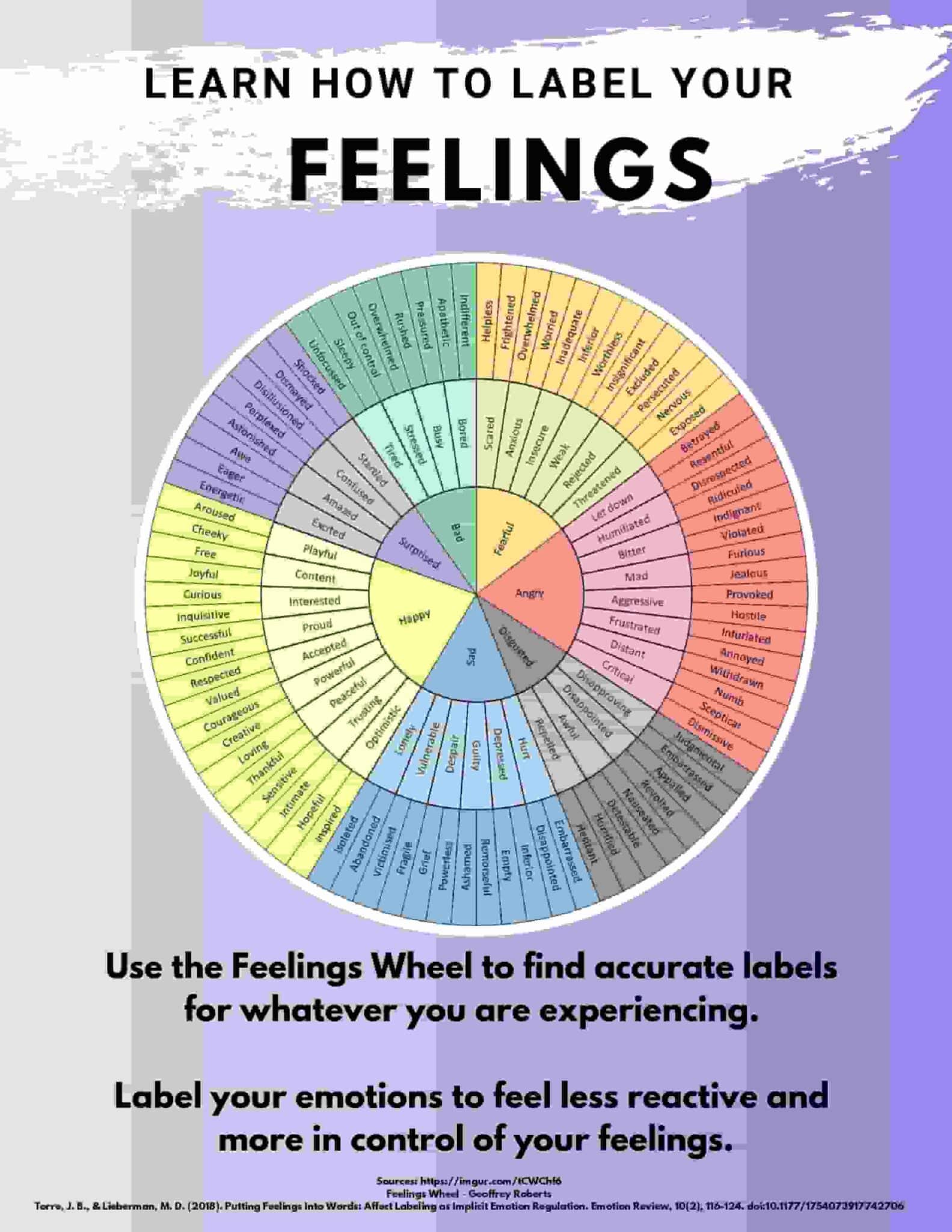 Feelings Wheel PDF